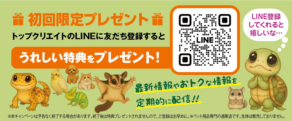 LINE@