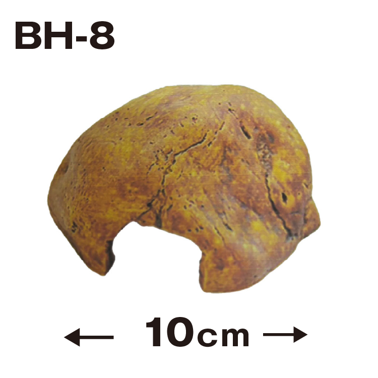 【BH8】爬虫類 シェルター 隠れ家【10x8.5x5cm】